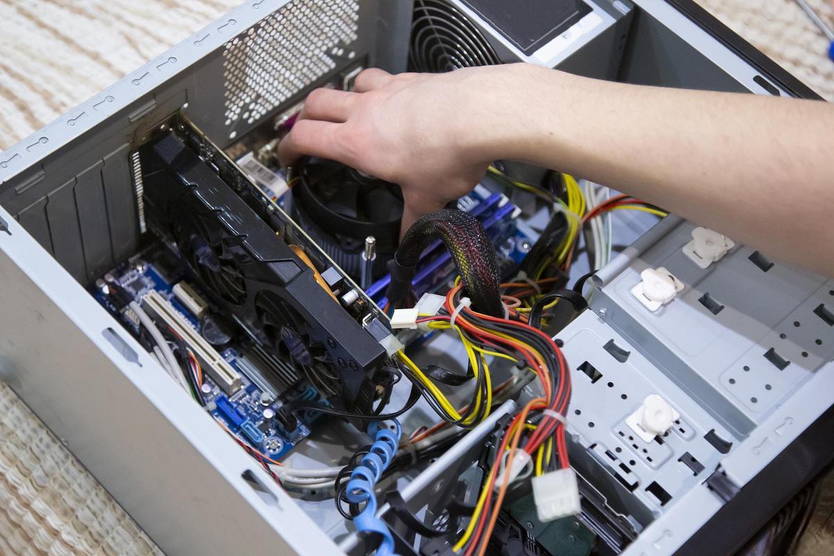 信息技術系網站設計專業 專業概覽與就業前景